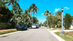 A palm-lined residential street in Miami, where the neighborhood a family chooses shapes which school programs they can reach.