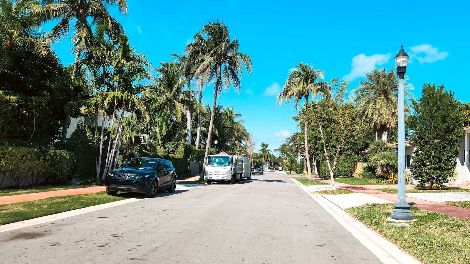 A palm-lined residential street in Miami, where the neighborhood a family chooses shapes which school programs they can reach.