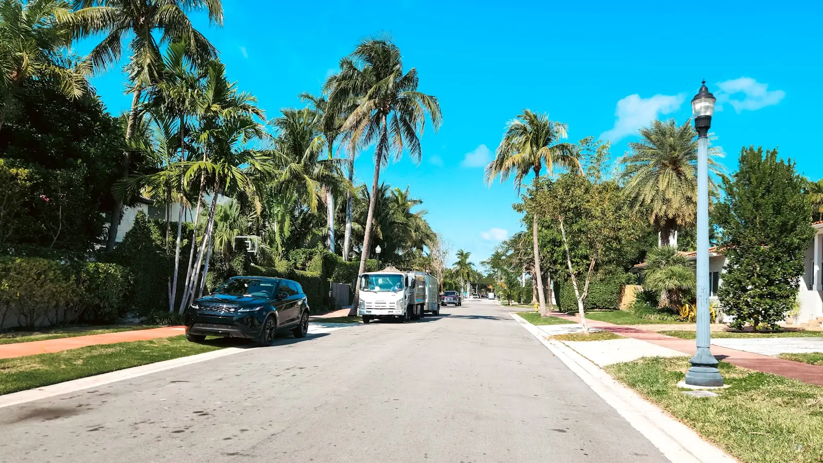 A palm-lined residential street in Miami, where the neighborhood a family chooses shapes which school programs they can reach.