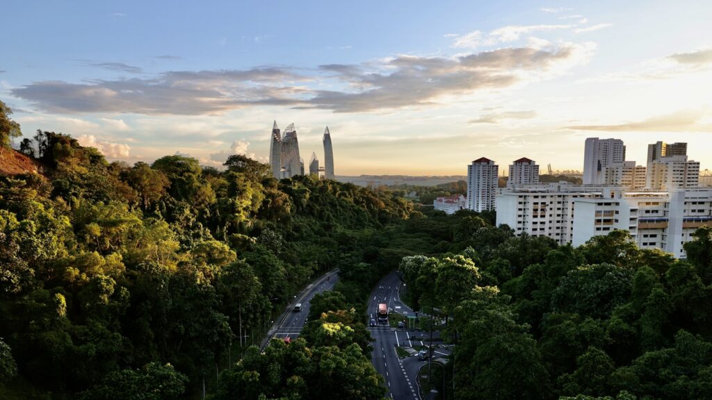 Trees and housing seen from Henderson Waves in Singapore, where school clusters shape where families choose to live.