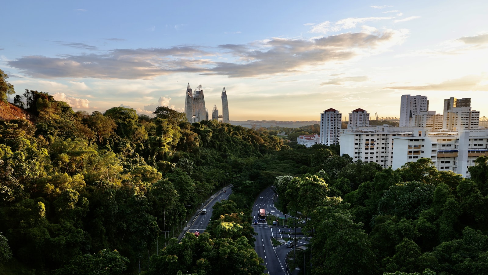 Trees and housing seen from Henderson Waves in Singapore, where school clusters shape where families choose to live.