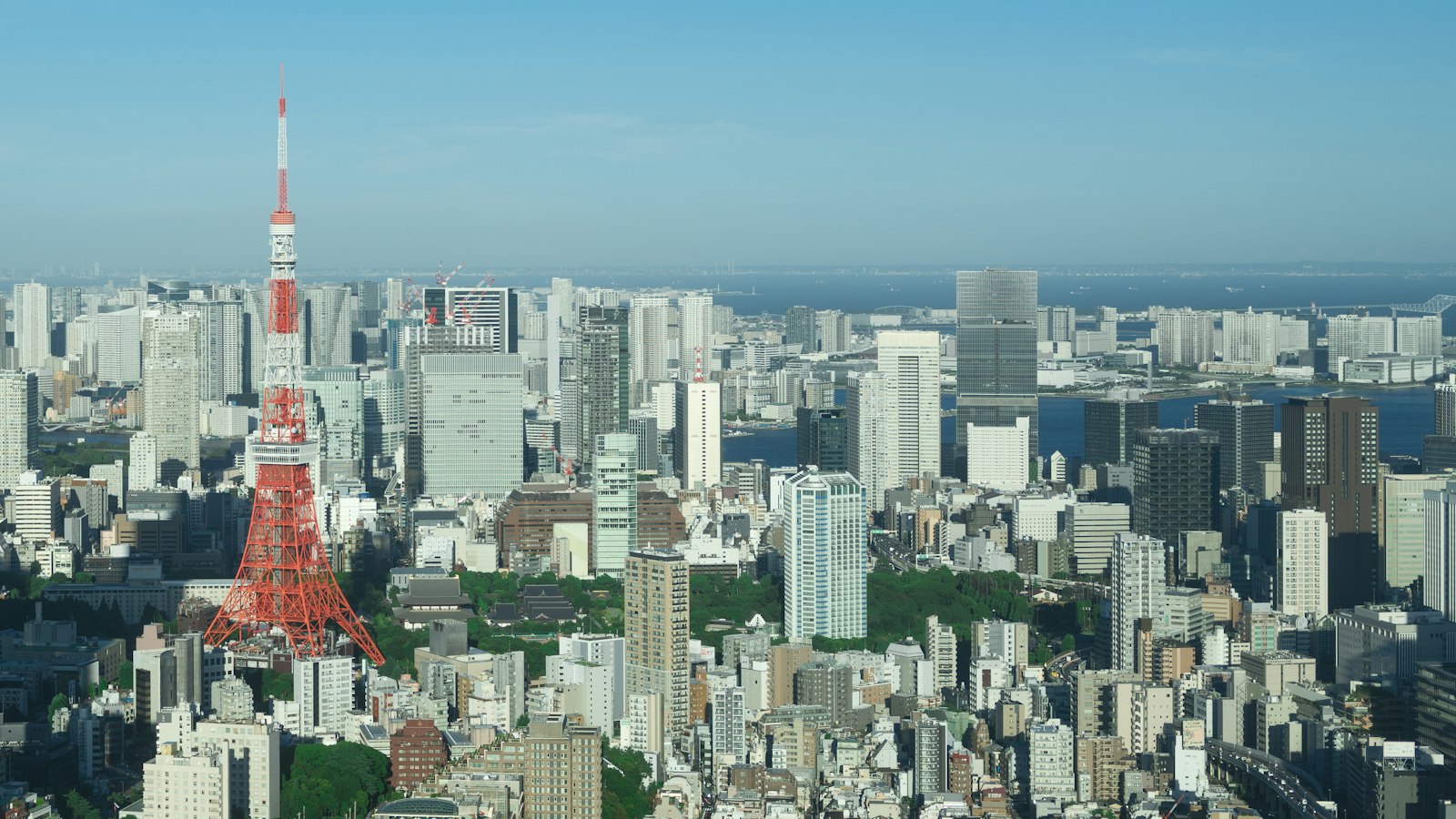 The Tokyo skyline and Tokyo Tower under a clear blue sky, with the bay beyond