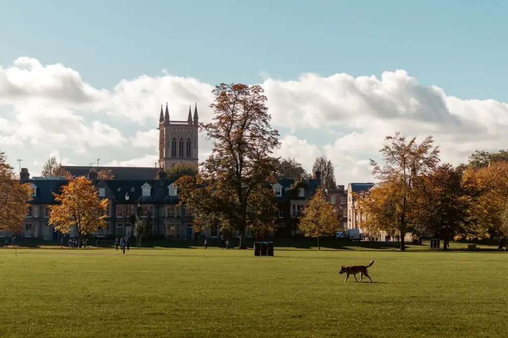 Historic college buildings and a chapel tower behind autumn trees and a wide lawn on an English university campus