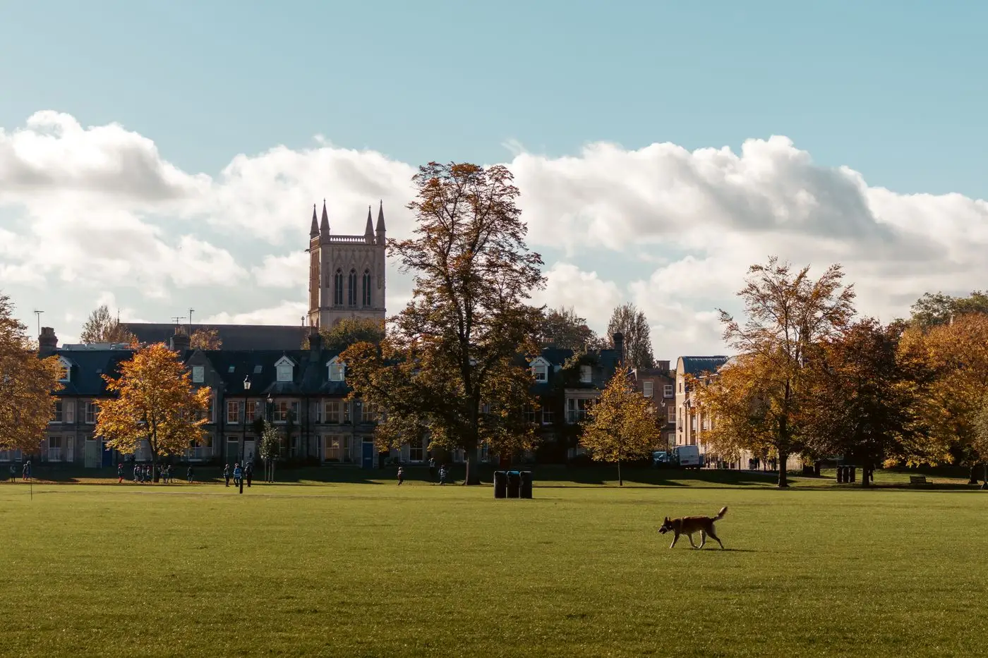 Historic college buildings and a chapel tower behind autumn trees and a wide lawn on an English university campus