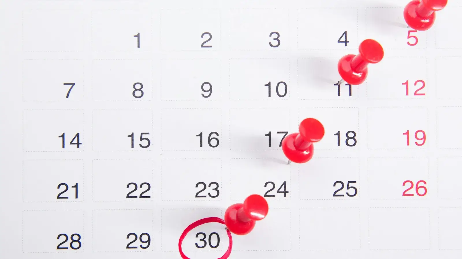 A wall calendar with red pins marking deadlines